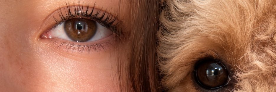 esinnkir's profile banner image