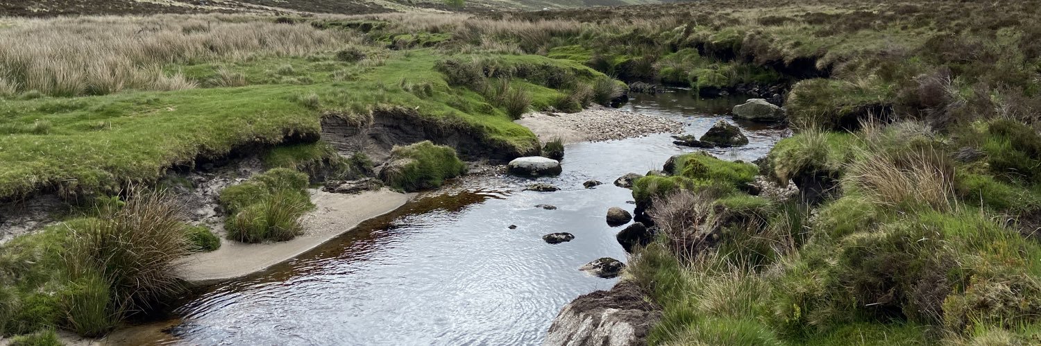 Kate de Smeth banner