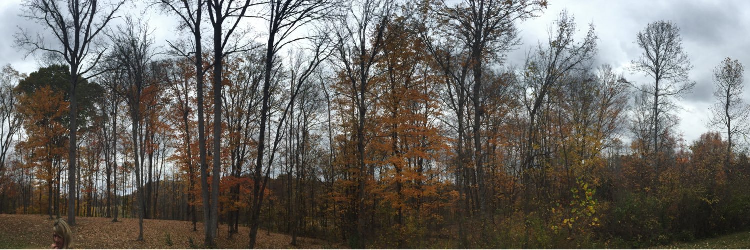 Mackenzie Stogsdill banner