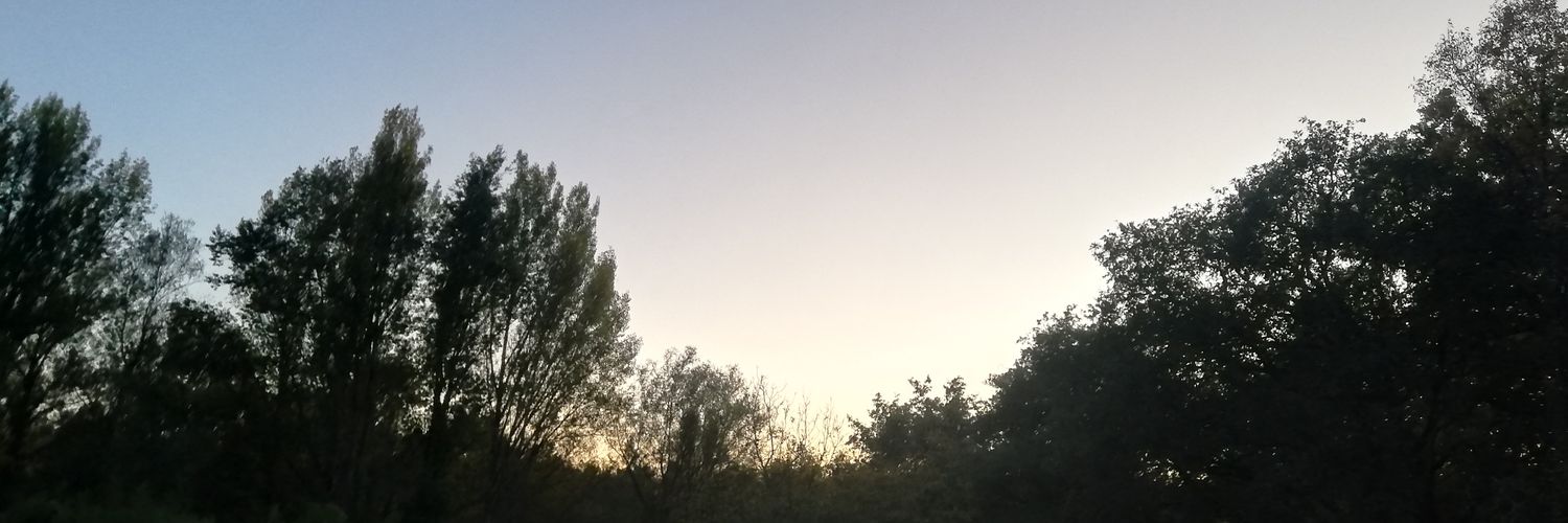 Louneycraft's profile banner image