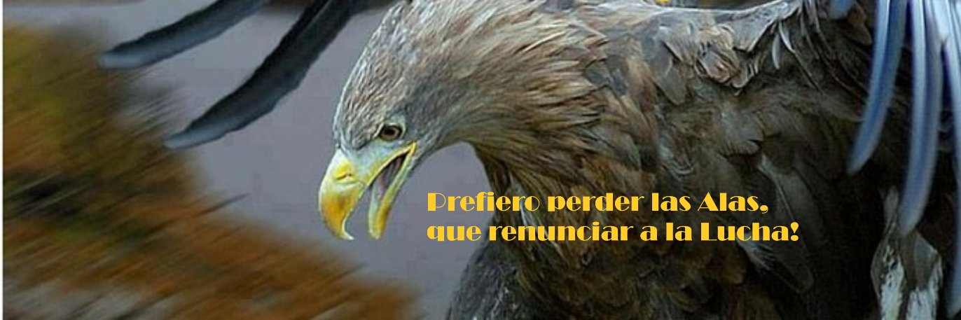 _Javiermoralesg's profile banner image