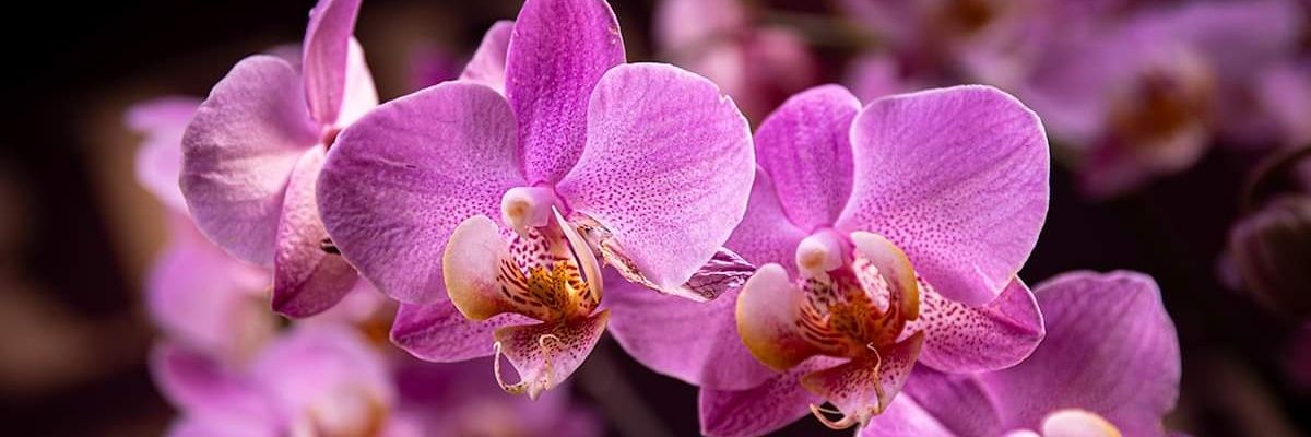 DaveD1973's profile banner image