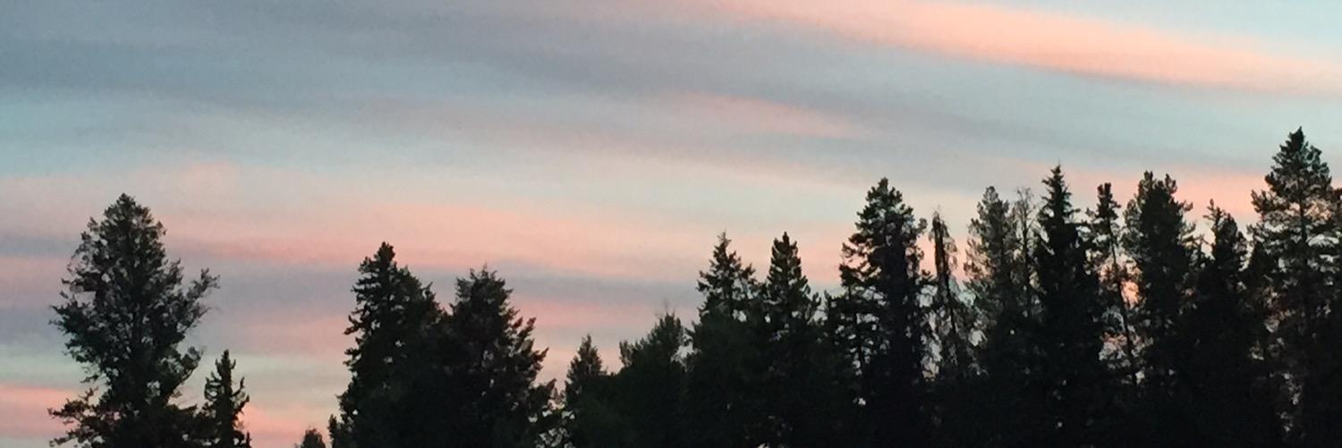 bdk314's profile banner image