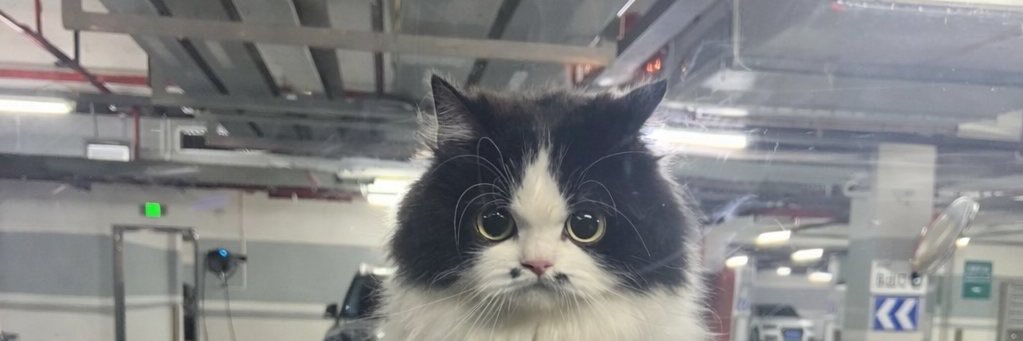 thesale_'s profile banner image