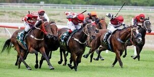 Ryan D Grljusich banner