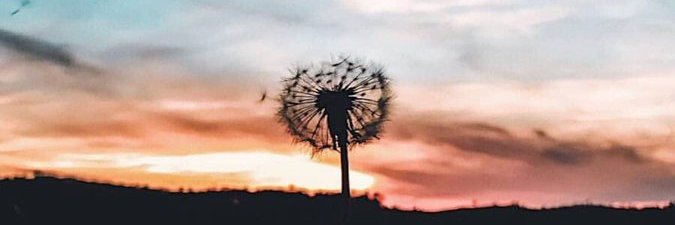 ggssnr's profile banner image