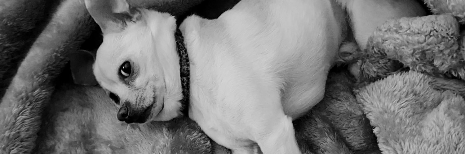sharleeezy's profile banner image