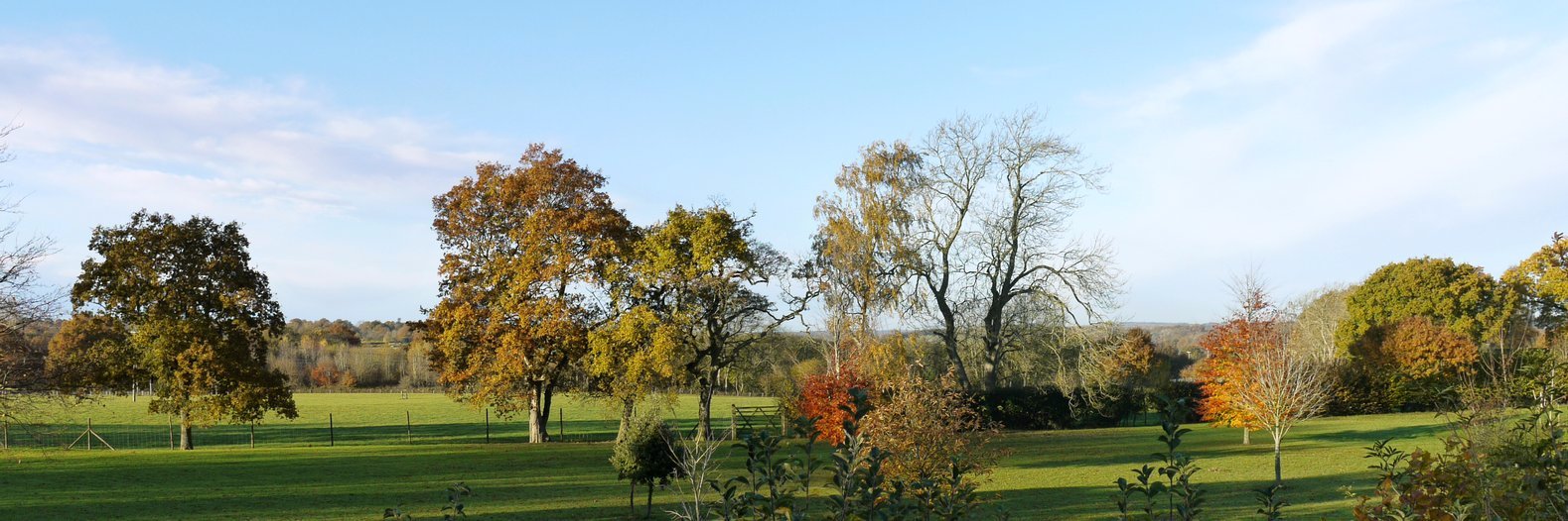 speldhurstfete's profile banner image
