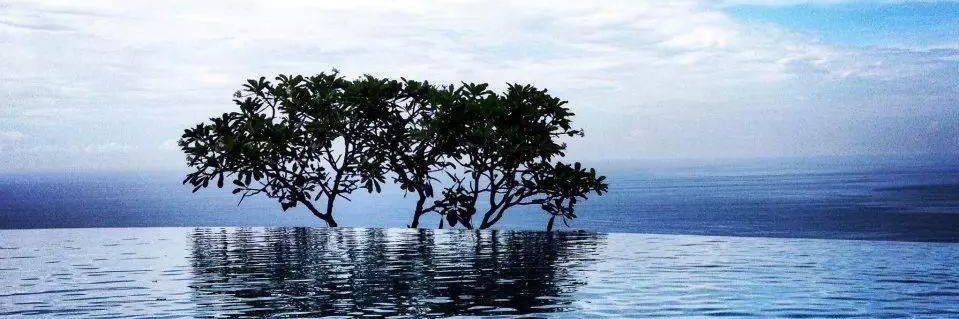 gede_radika's profile banner image