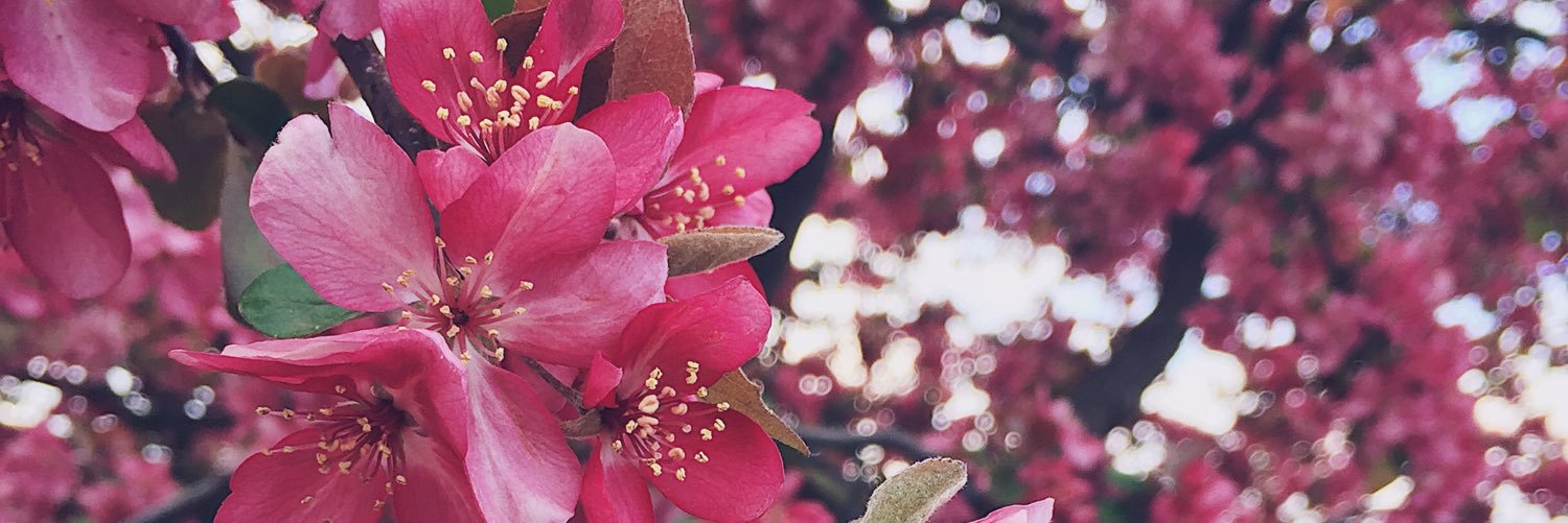 regan_headrick's profile banner image