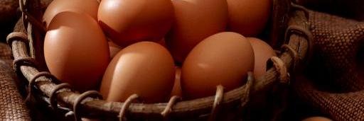 Matilda_hen's profile banner image
