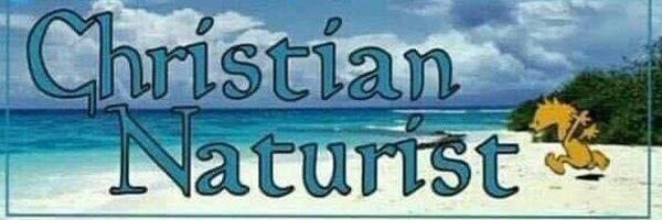 DyeLaron Profile Banner