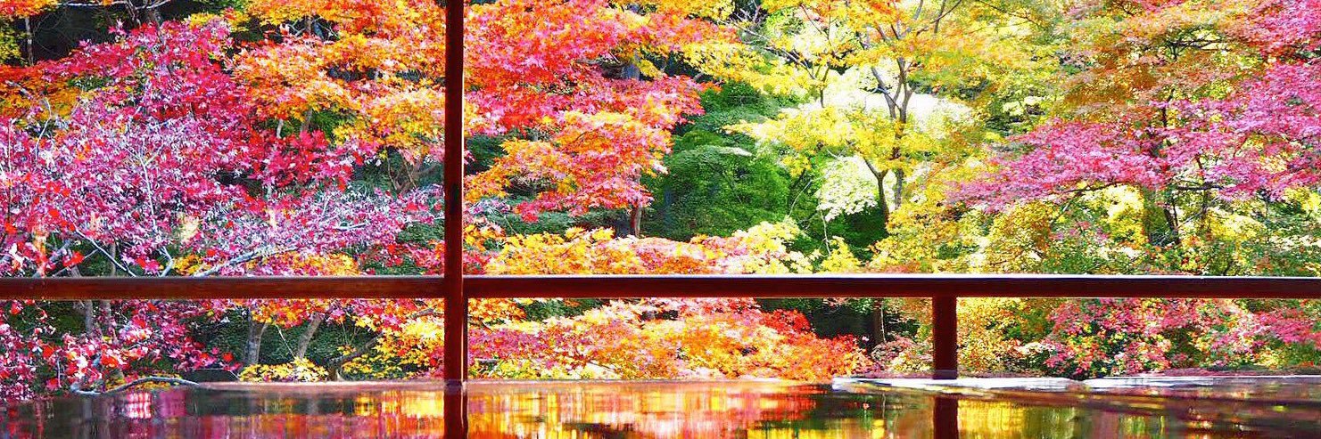 Sam_Shise's profile banner image