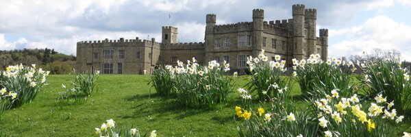 TorontoTasha Profile Banner