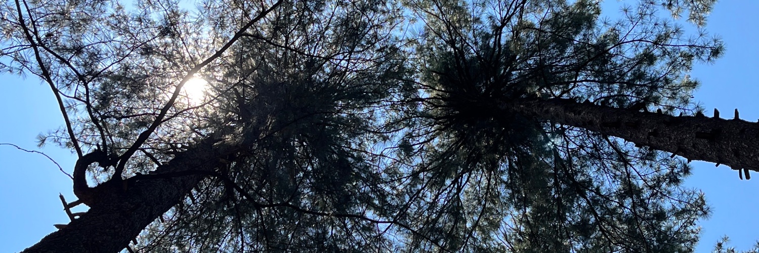 Gokulcd18's profile banner image