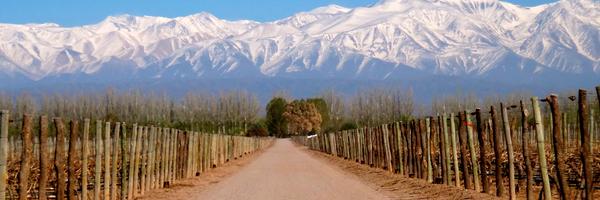 CatenaWines Profile Banner
