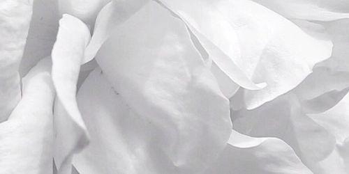 ___michelleeee's profile banner image