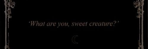 aeturnus's profile banner image