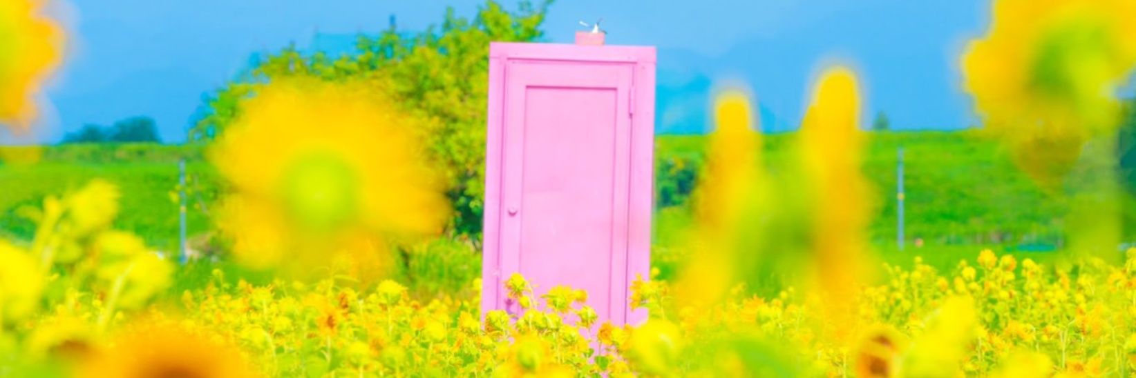 TomokoY0520's profile banner image
