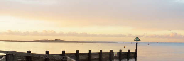 scullridge Profile Banner