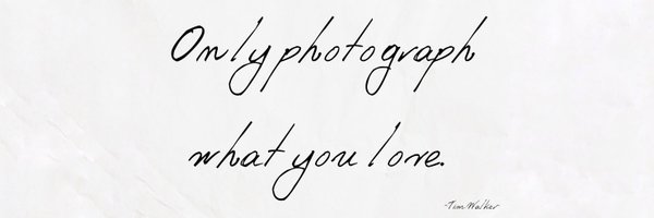 real_pntt Profile Banner