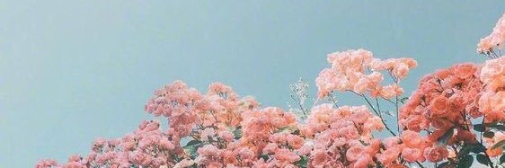 _JessicaDove's profile banner image