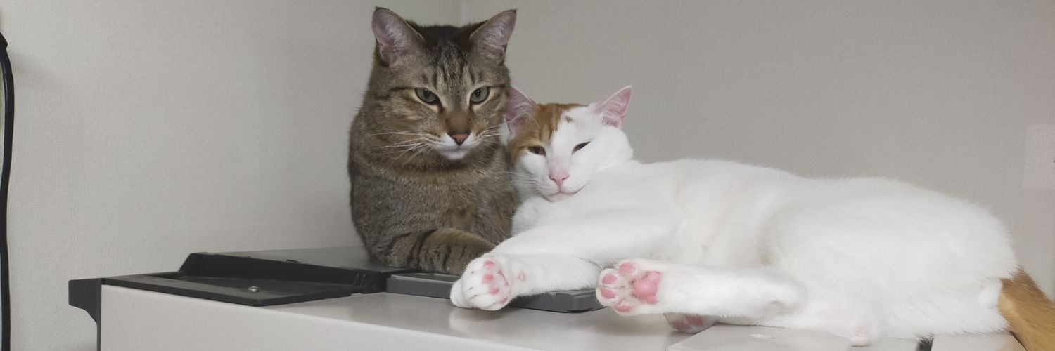 maplekitty0903's profile banner image