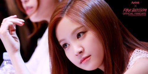 Apinksne_fake's profile banner image