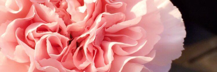 Hanna_El's profile banner image