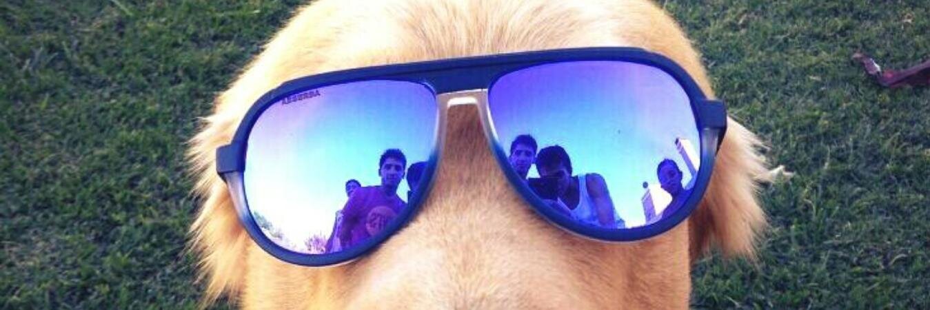 Goton5's profile banner image