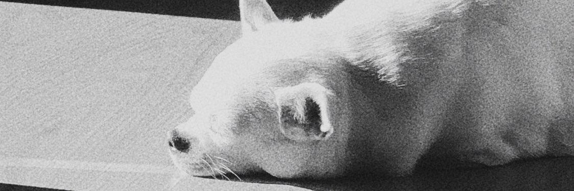 soyalessandro_'s profile banner image