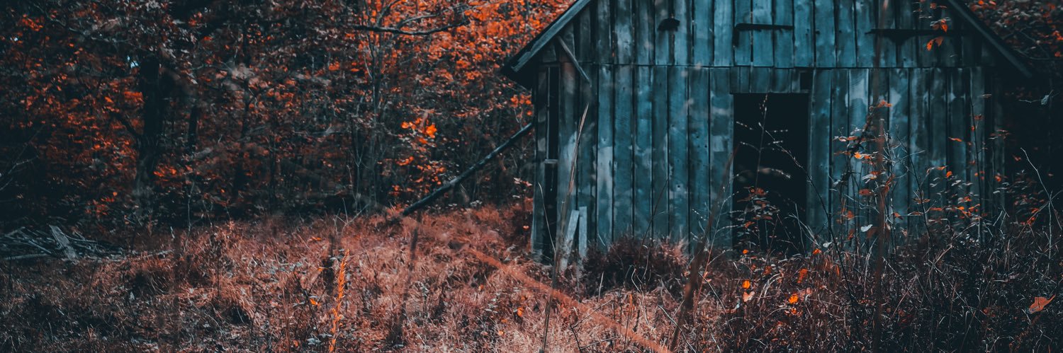 ruger_allen's profile banner image