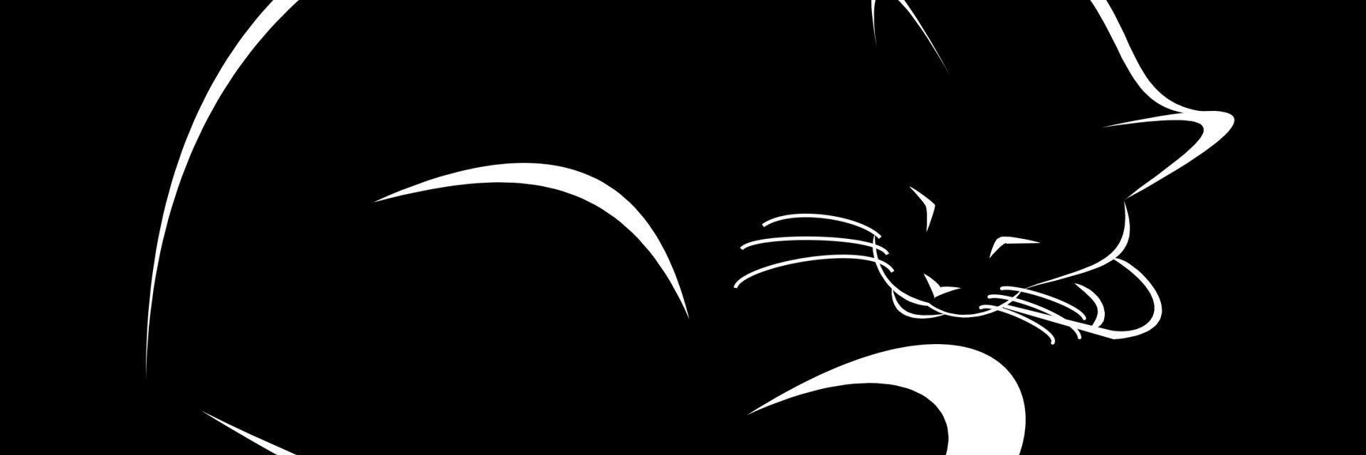 ookhime's profile banner image