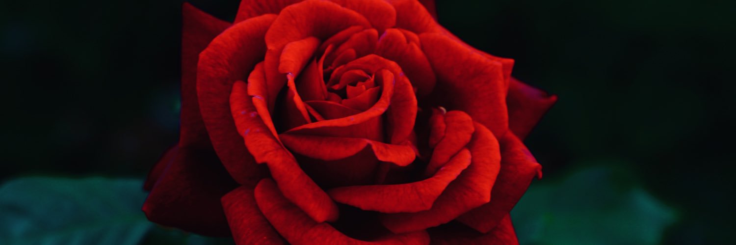 vvyvem's profile banner image
