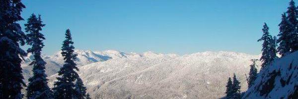 snowkelc Profile Banner