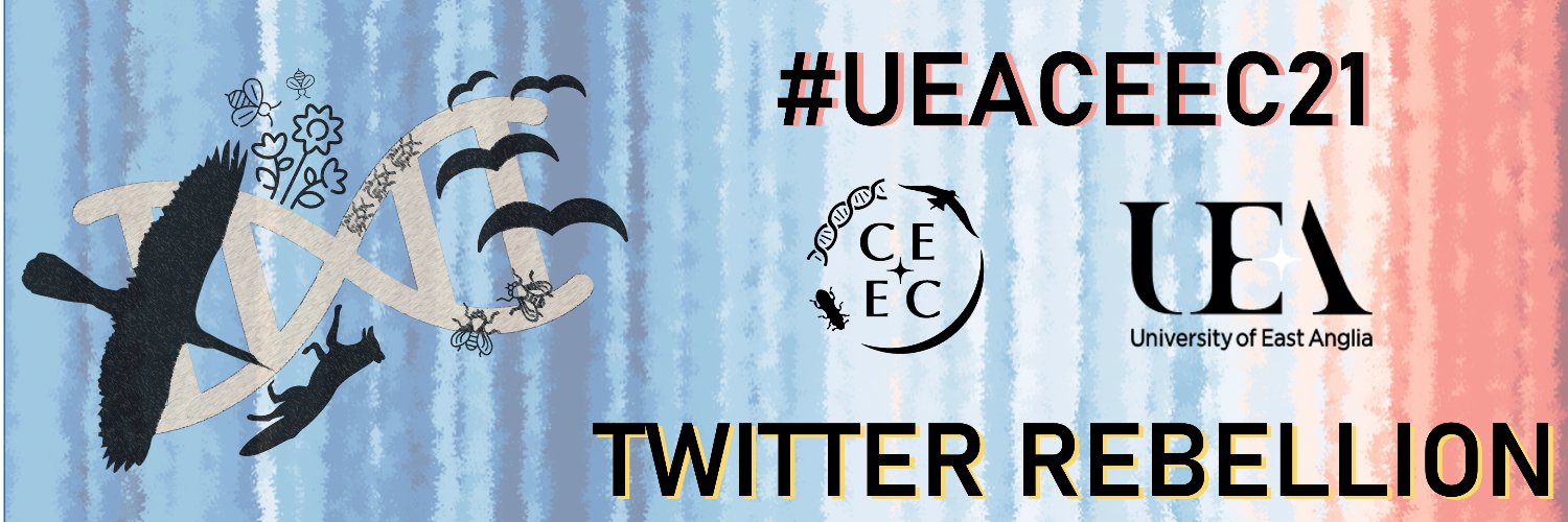 CEECRebellion's profile banner image
