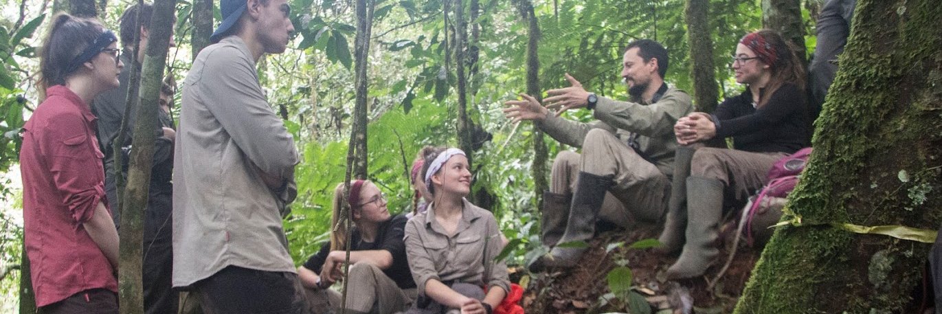 Nando Mateos González 🦎 banner