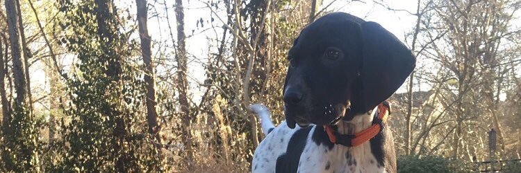 jReed63's profile banner image