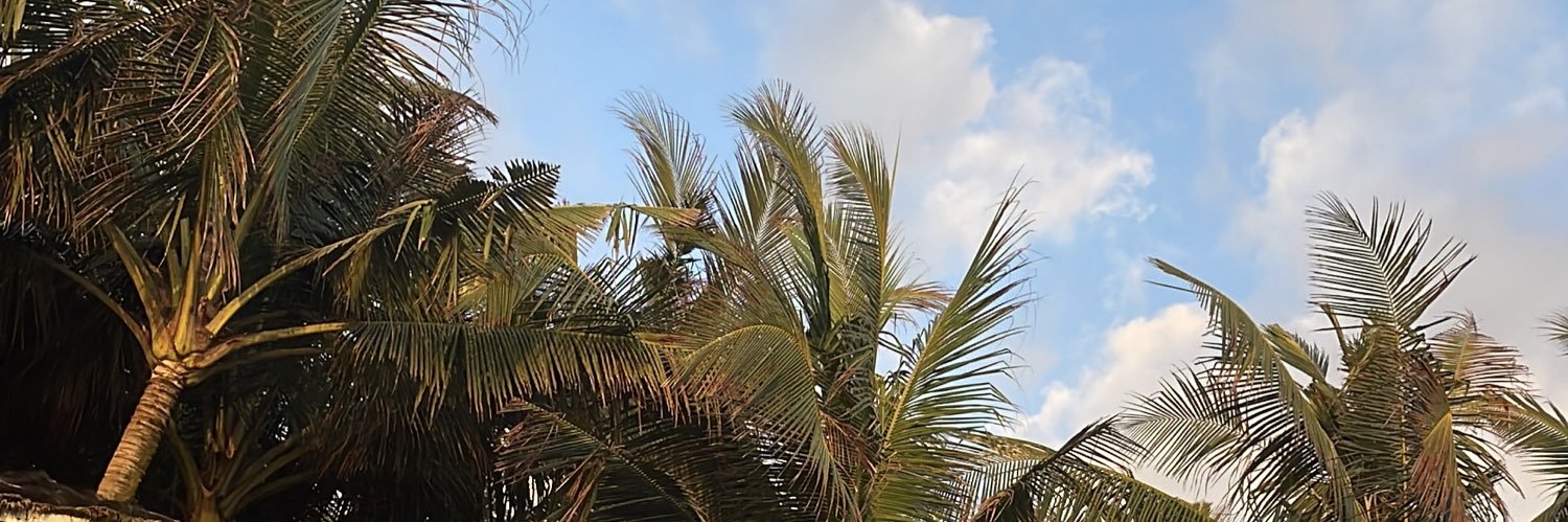 cheskasayshello's profile banner image