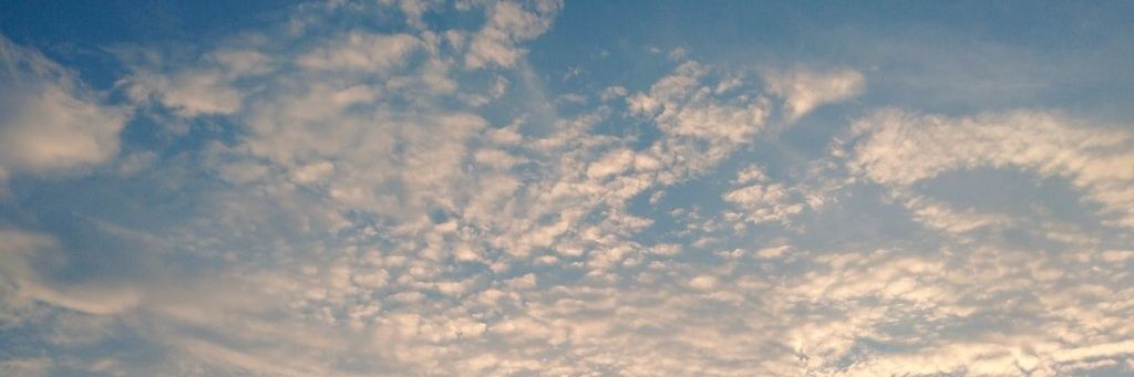 ryoco419's profile banner image