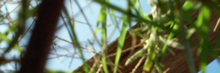 lkeyes21's profile banner image