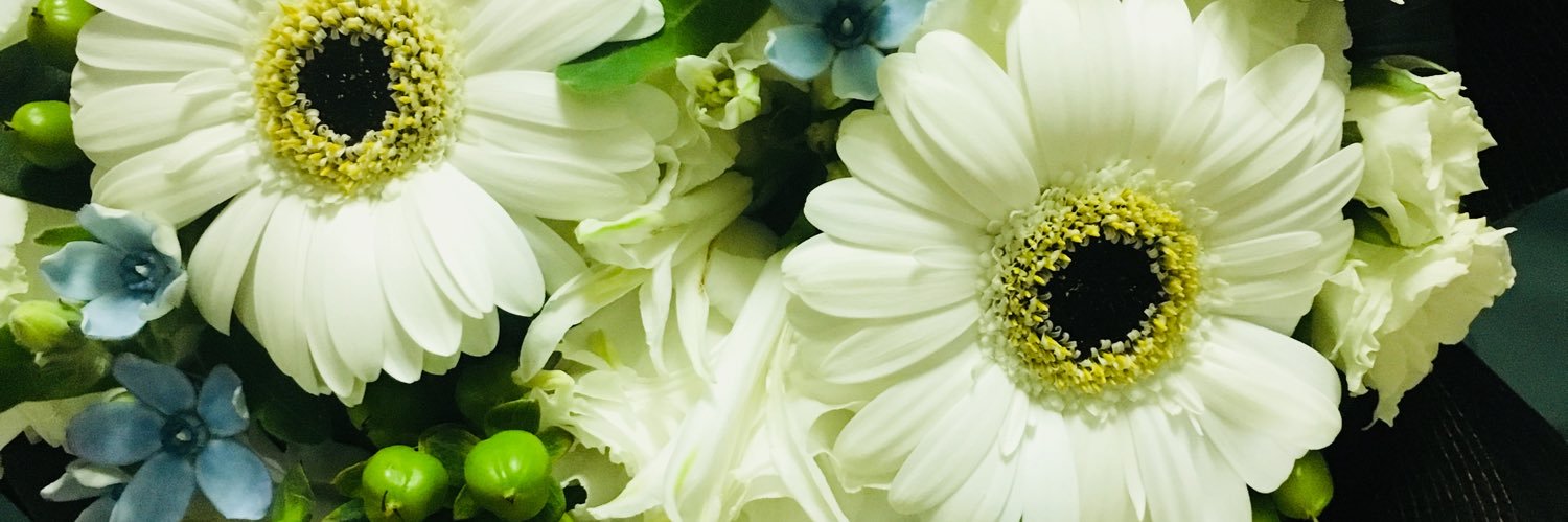 fpccp's profile banner image