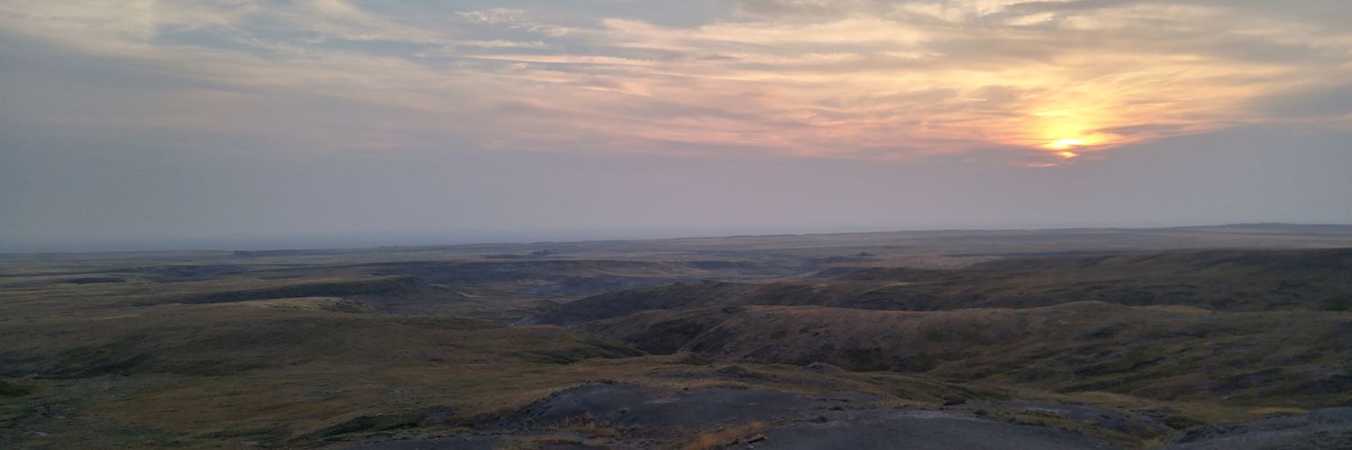 Tyaust's profile banner image