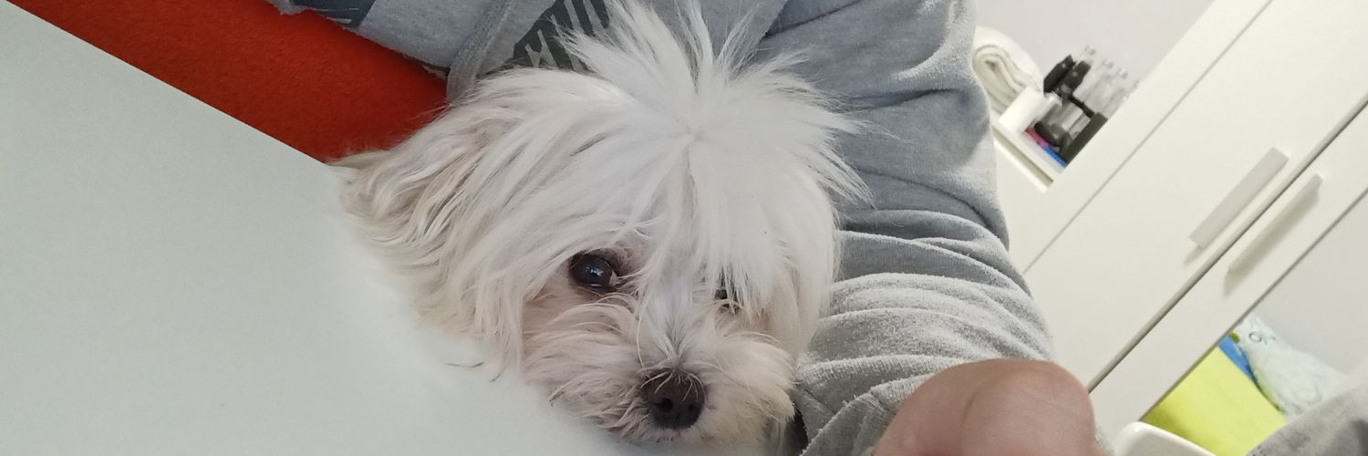 BochanEUW's profile banner image