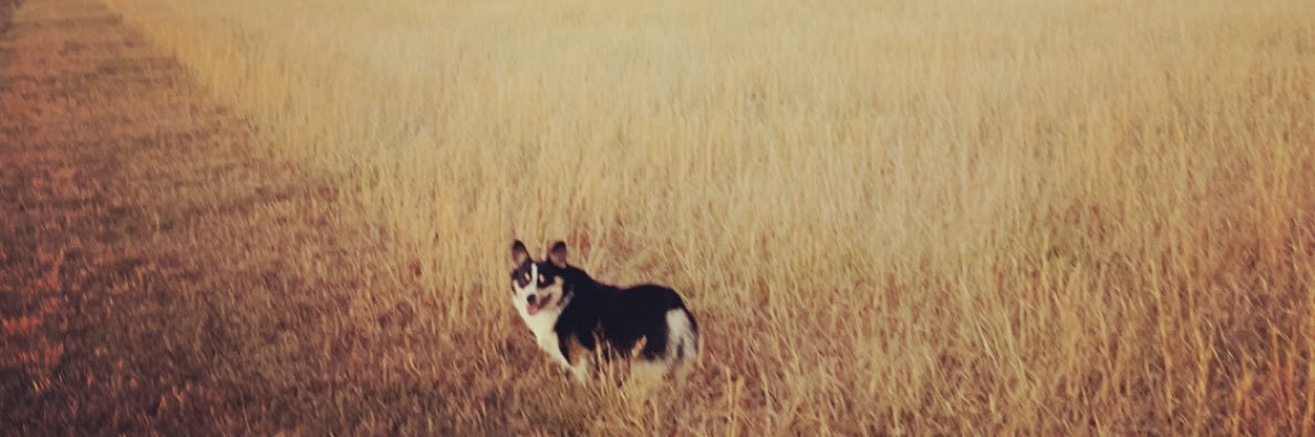 morgswoodin's profile banner image