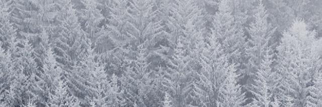 ElliottLile's profile banner image