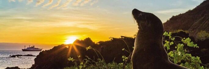 ArthurLimaSp's profile banner image