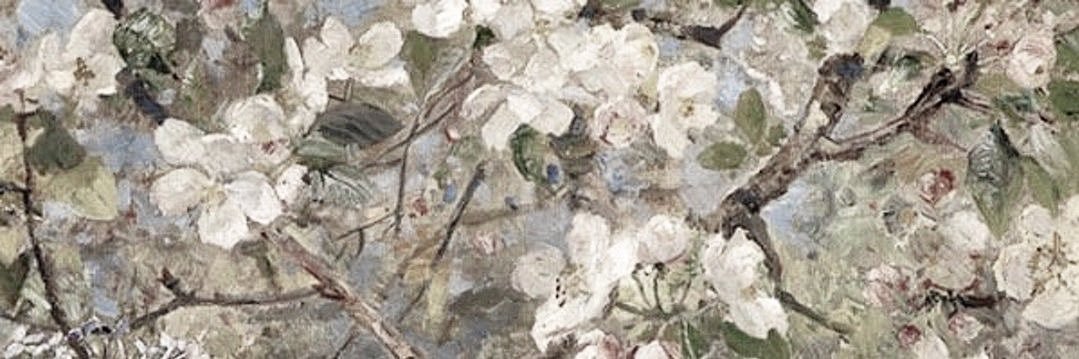 senoruitaa's profile banner image
