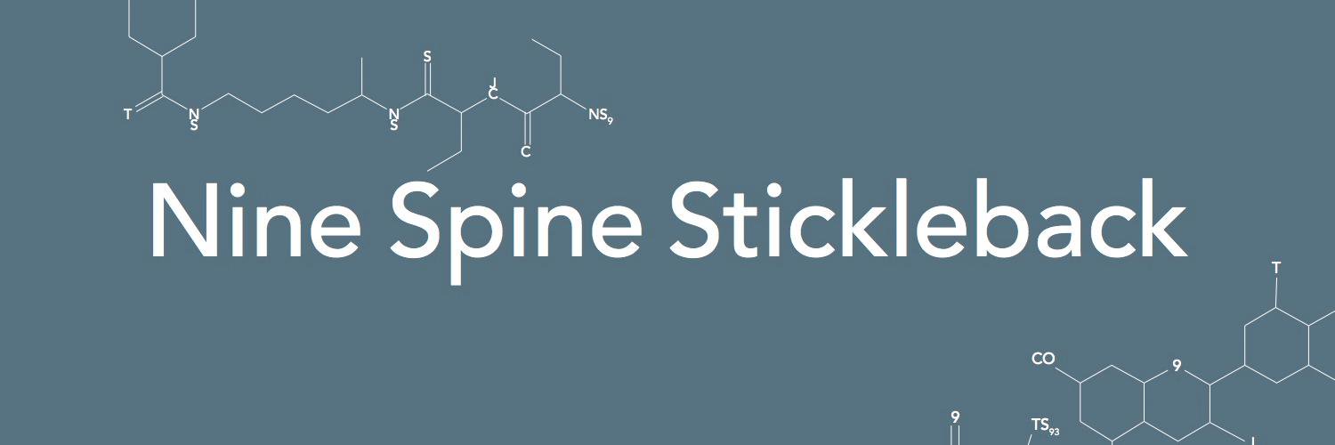 Twitter banner for @NineSpine