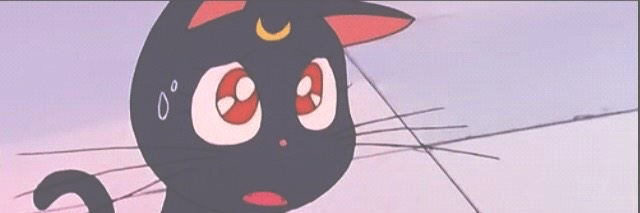 wankvr's profile banner image